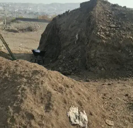 کود فروشی|خدمات باغبانی و درختکاری|پردیس, فاز ۱|دیوار