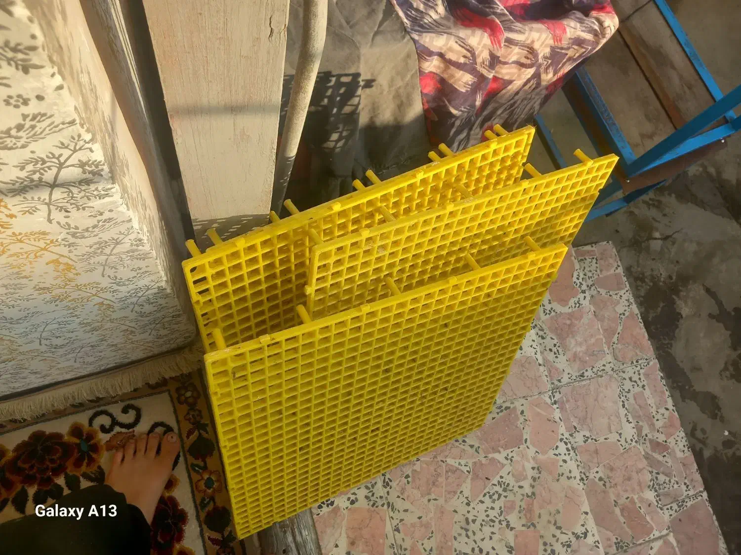 سبد|لوازم جانبی حیوانات|فومن, |دیوار