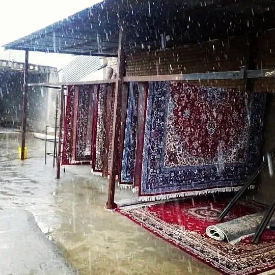 قالیشویی وزیری|خدمات نظافت|اسفراین, |دیوار