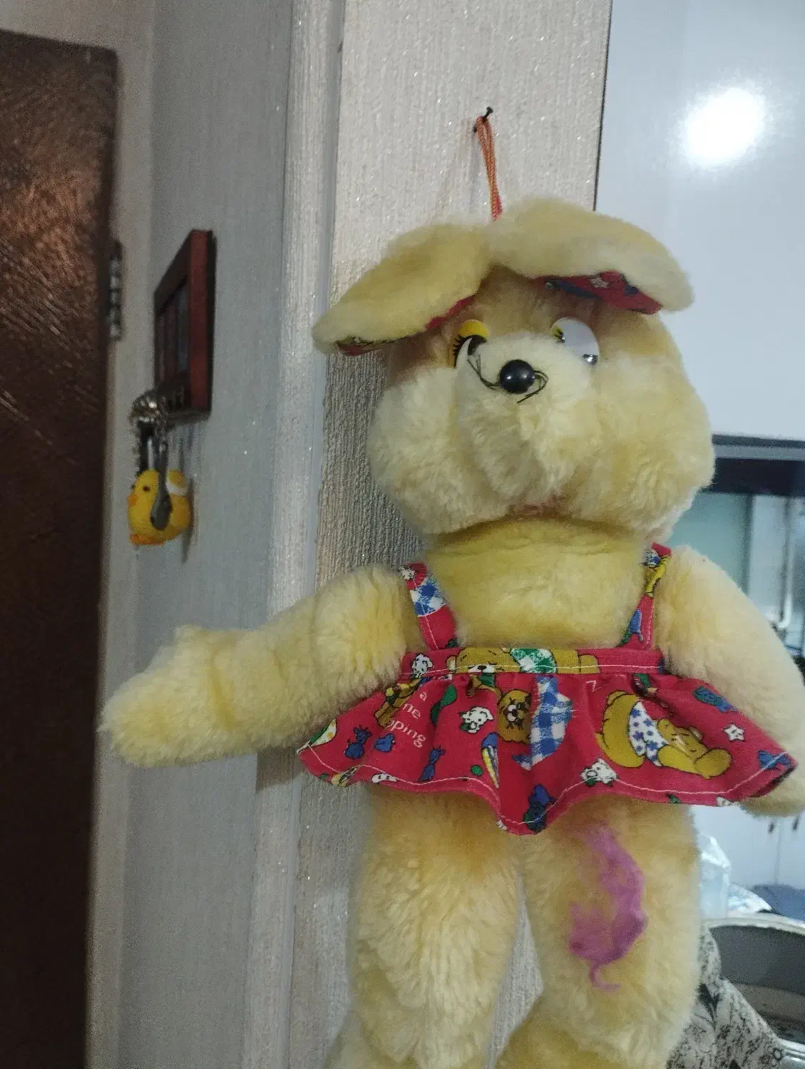 عروسک|اسباب‌‌بازی|رشت, فلسطین|دیوار