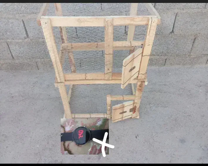 ساعت( عکس )|ساعت|زابل, |دیوار