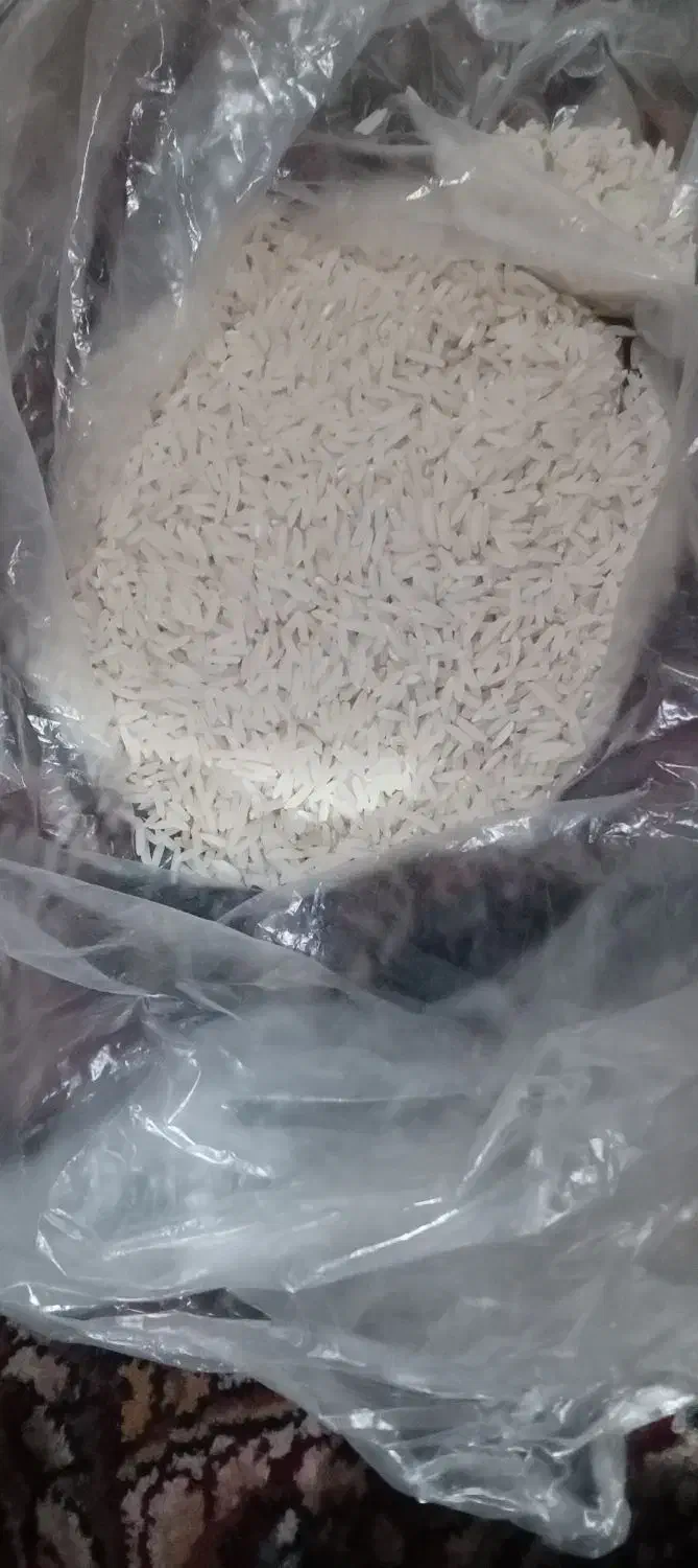 شاه برنج امساله|خوردنی و آشامیدنی|تولم شهر, |دیوار