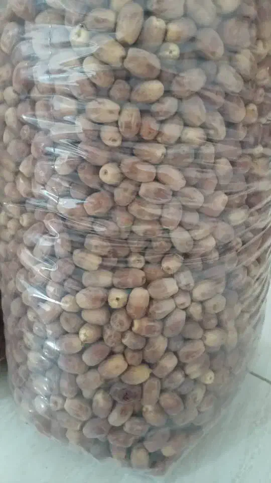 قصب درجه ۱ نیاز به تعریف نداره قیمت توافقی|خوردنی و آشامیدنی|شیراز, میرزاکوچک خان|دیوار