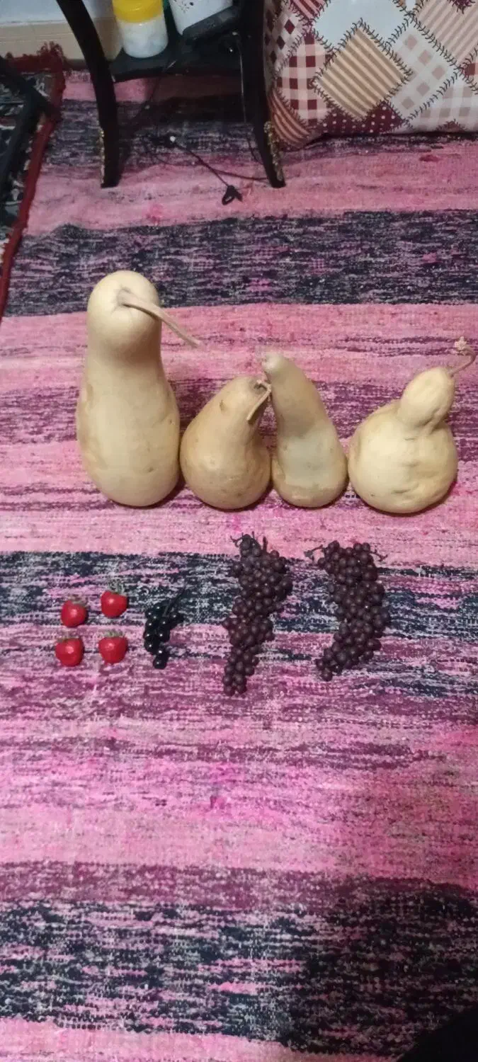 کدو خشک شده طبیعی و میوه مصنوعی|صنایع دستی و سایر لوازم تزئینی|ری, دیلمان|دیوار