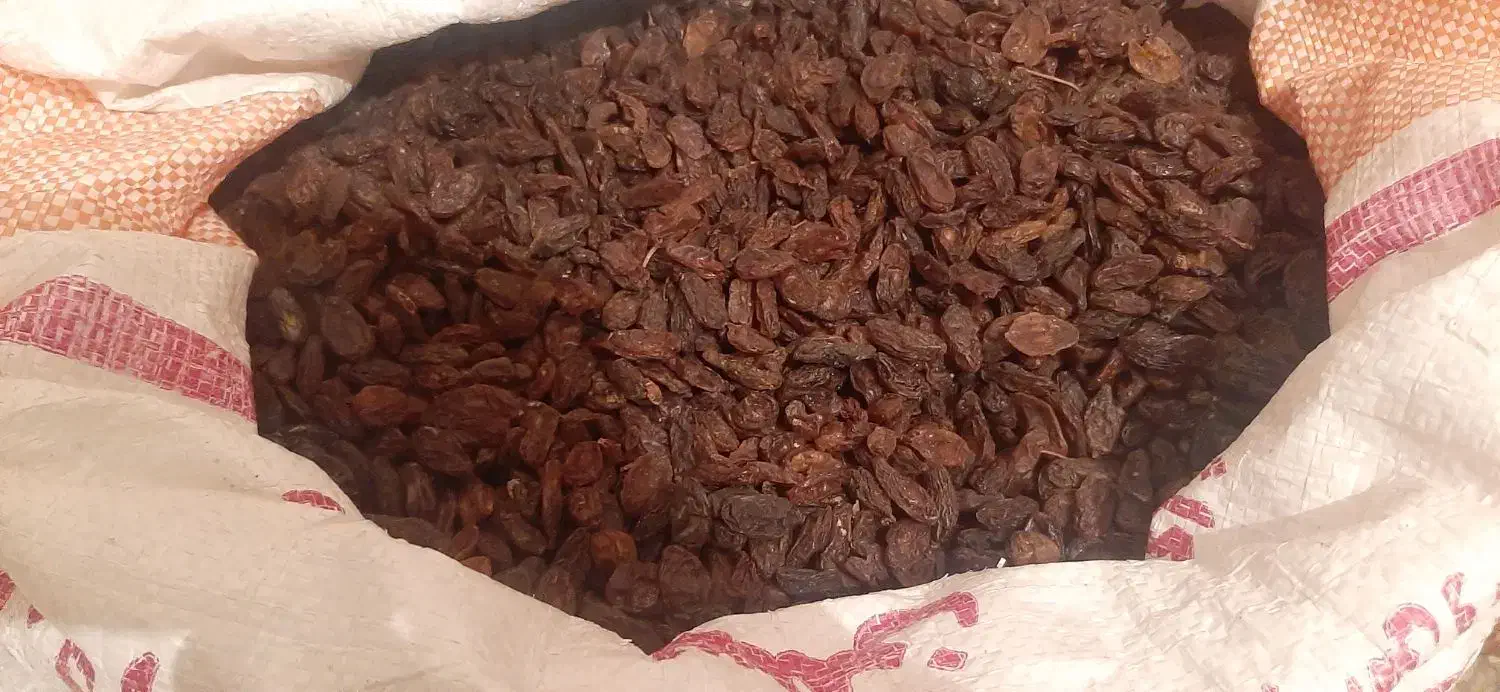 کشمش امسالی گوشتی|خوردنی و آشامیدنی|قم, شاه ابراهیم|دیوار