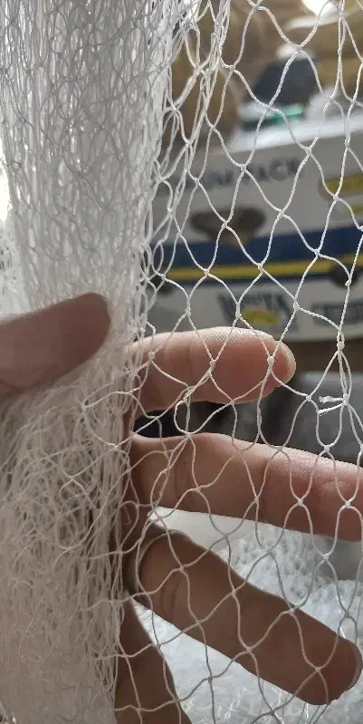 تور ماهیگیری، سالی|ماهیگیری|رودسر, |دیوار