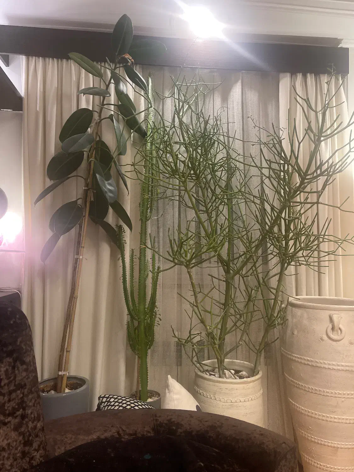 پرده وکتیبه|پرده، رانر، رومیزی|رشت, دیلمان|دیوار