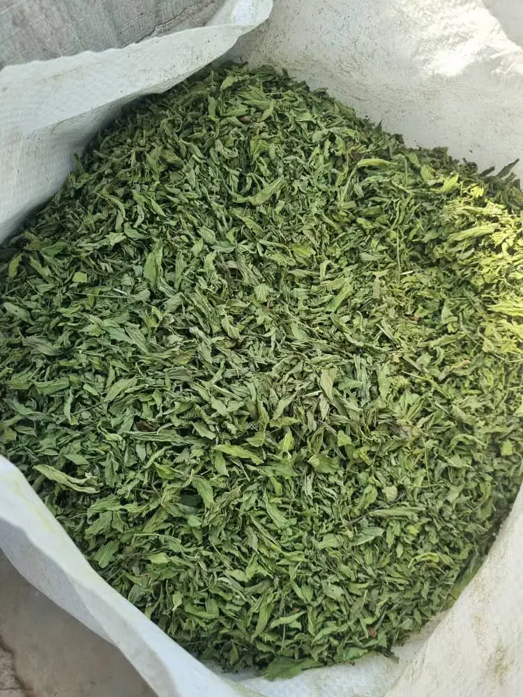 عطاری و گیاهان دارویی|خوردنی و آشامیدنی|شیراز, پادگان ولیعصر|دیوار