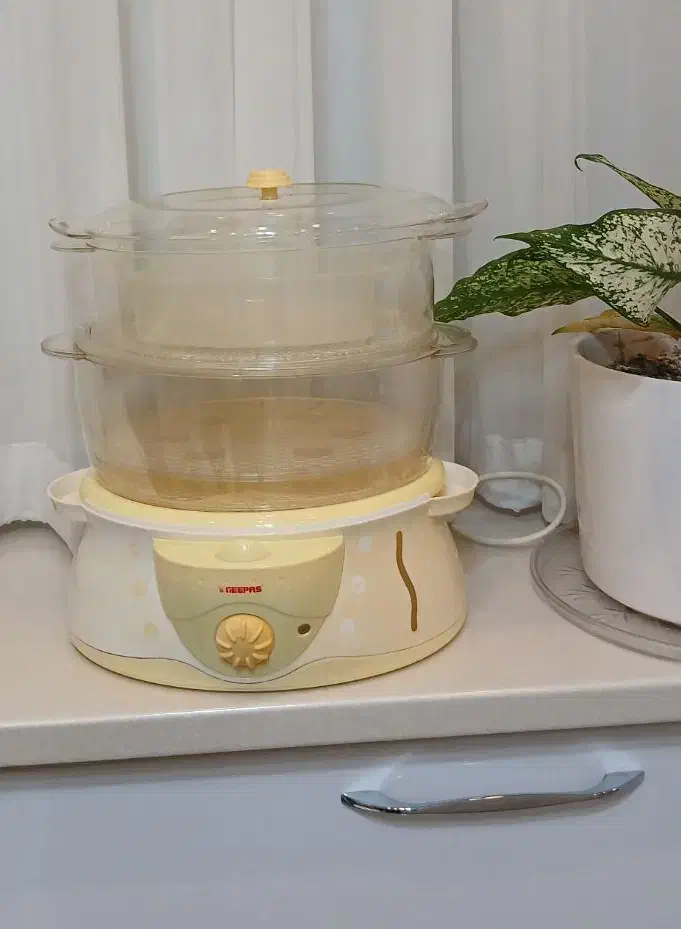 بخار پز سه طبقه|سایر لوازم برقی|رشت, توشیبا|دیوار