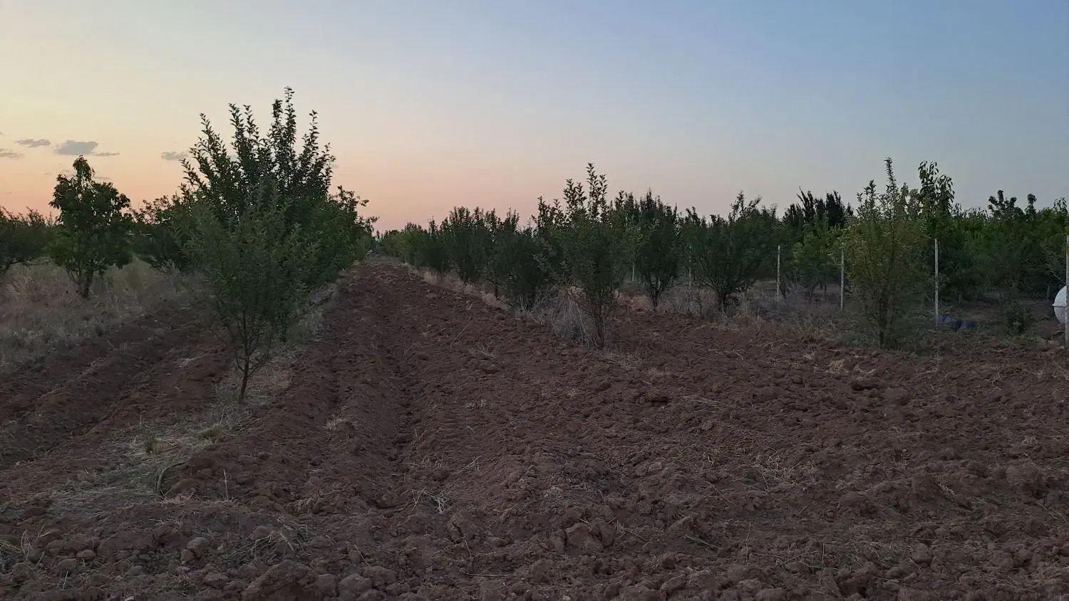 باغشهر ساوالان ارتش|فروش دفتر صنعتی، کشاورزی، تجاری|باغ حلی, |دیوار