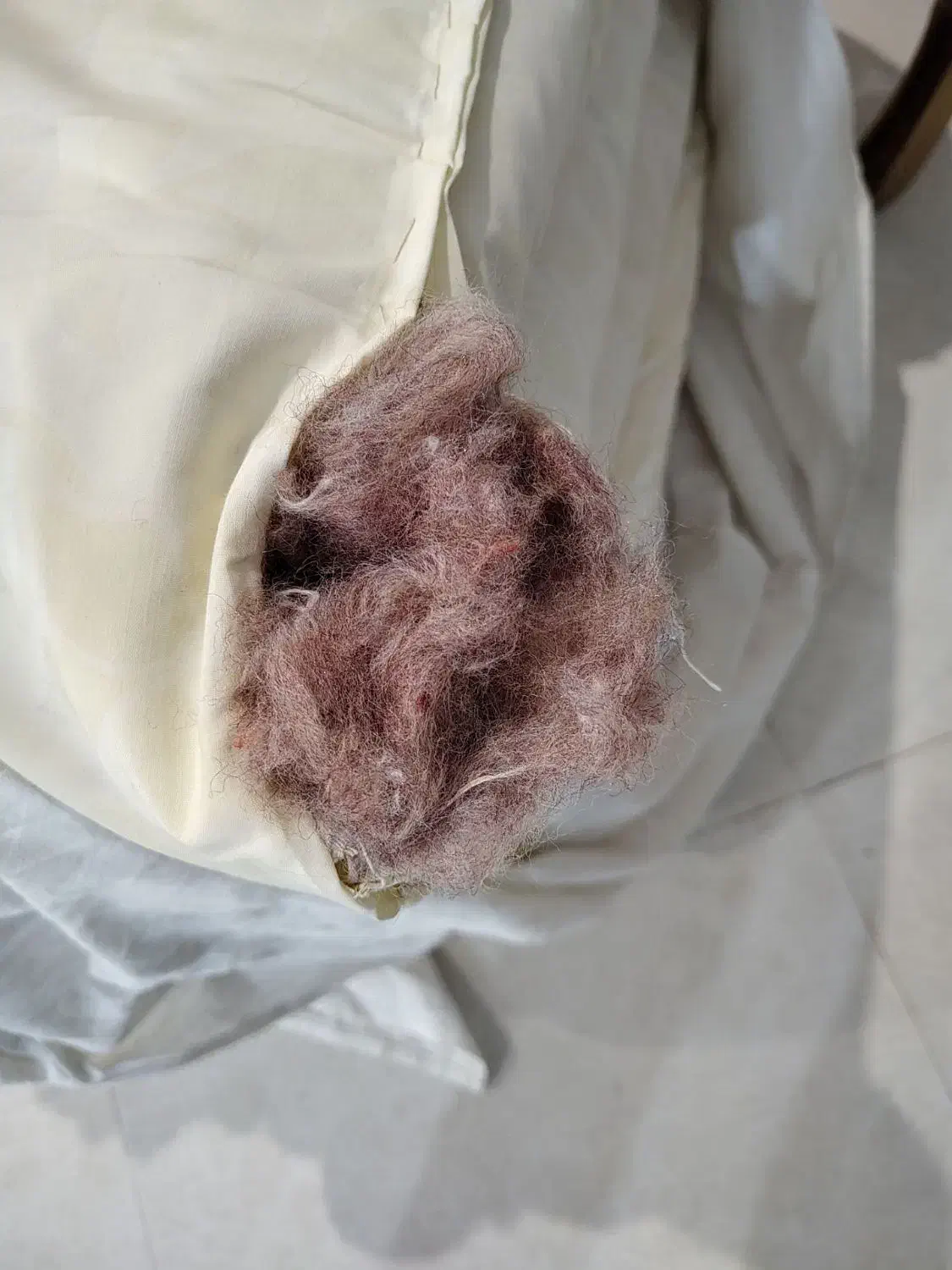 تشک|رختخواب، بالش، پتو|فردیس, سرحدی|دیوار