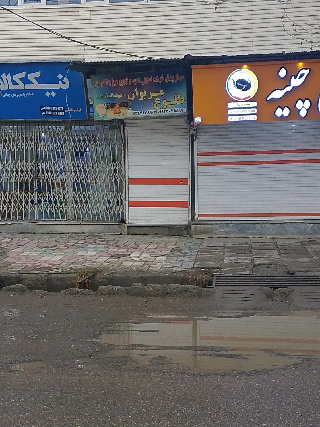 مغازه مرغ فروشی|فروشگاه و مغازه|مریوان, |دیوار