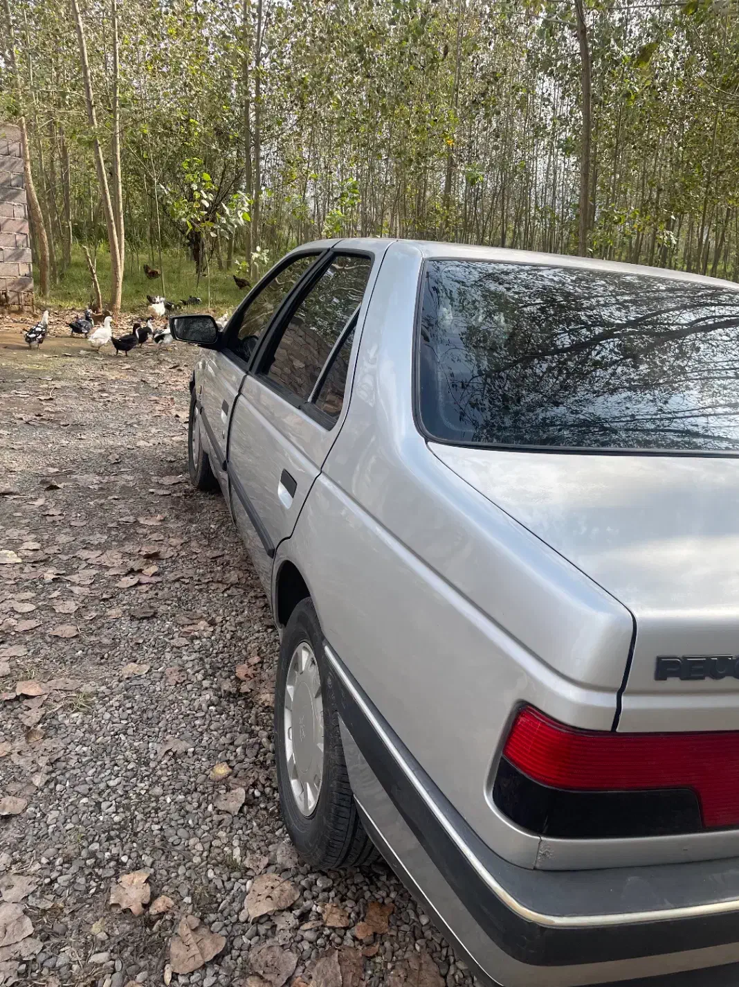 پژو 405 دوگانه دستی بی رنگ|خودرو سواری و وانت|لنگرود, |دیوار