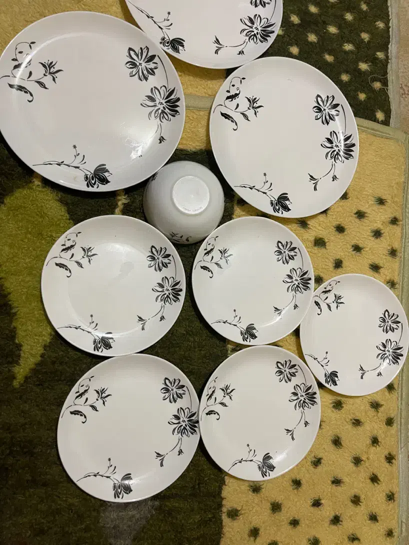 ظروف فرانسه|ظروف سرو و پذیرایی|گرگان, |دیوار