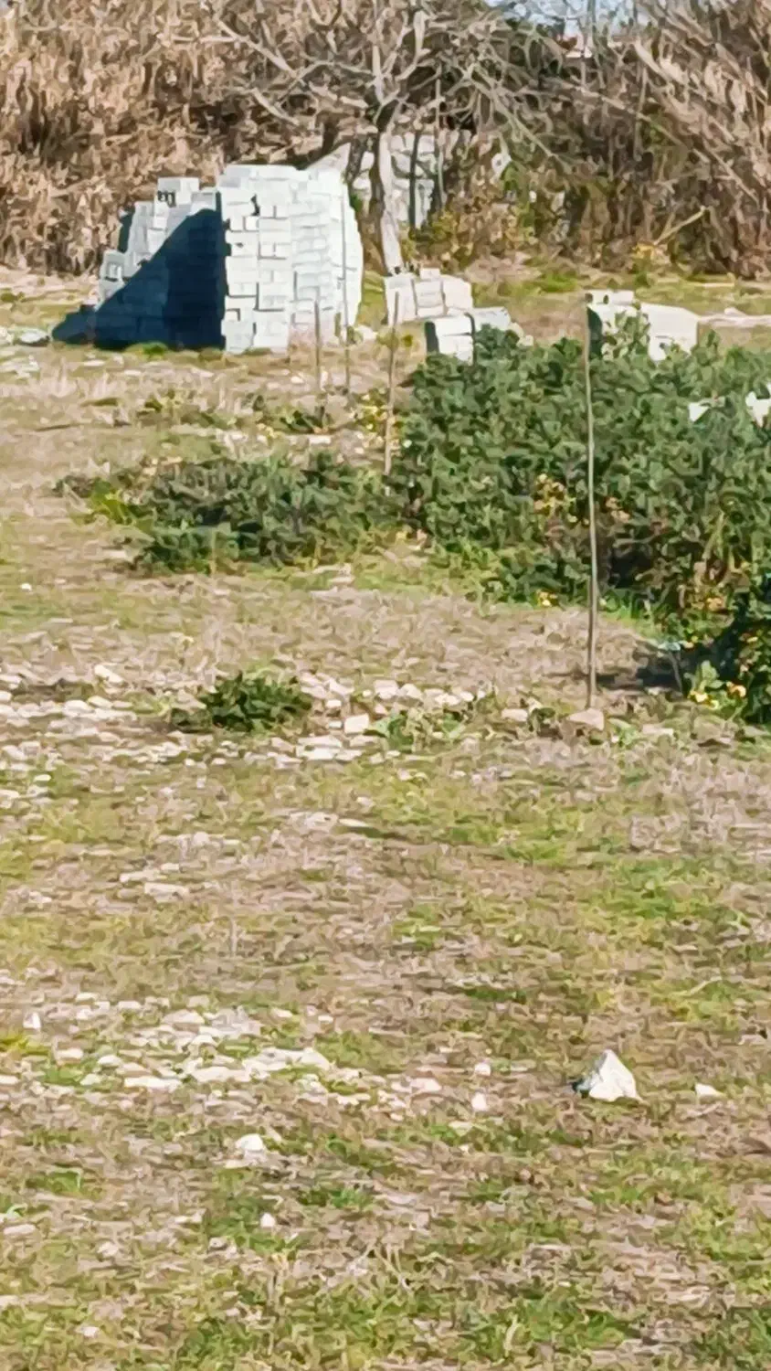 فروش زمین جاده دریا منطقه آزاد مازندران ،ساری|فروش زمین و ملک کلنگی|آکند, |دیوار