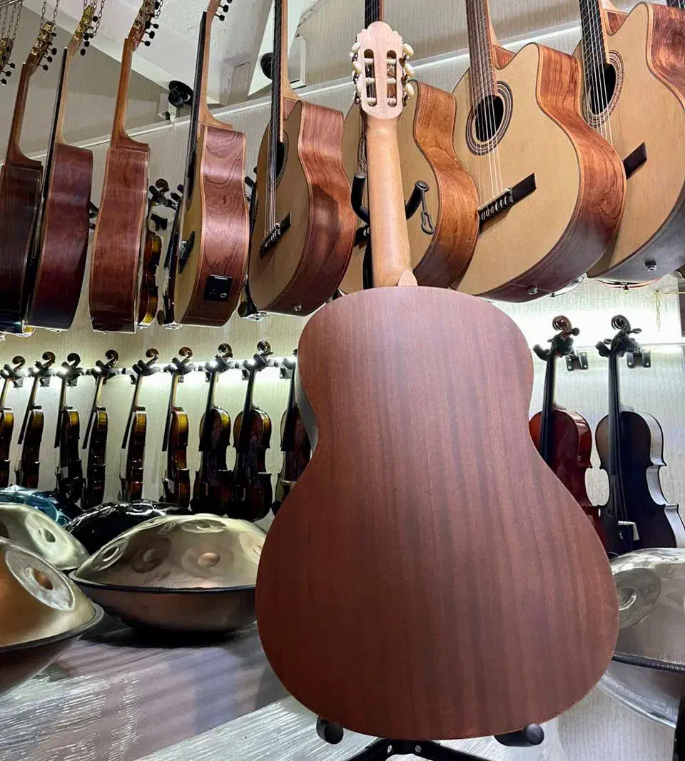 گیتار دایموند و یاماها|گیتار، بیس، امپلیفایر|گرگان, |دیوار