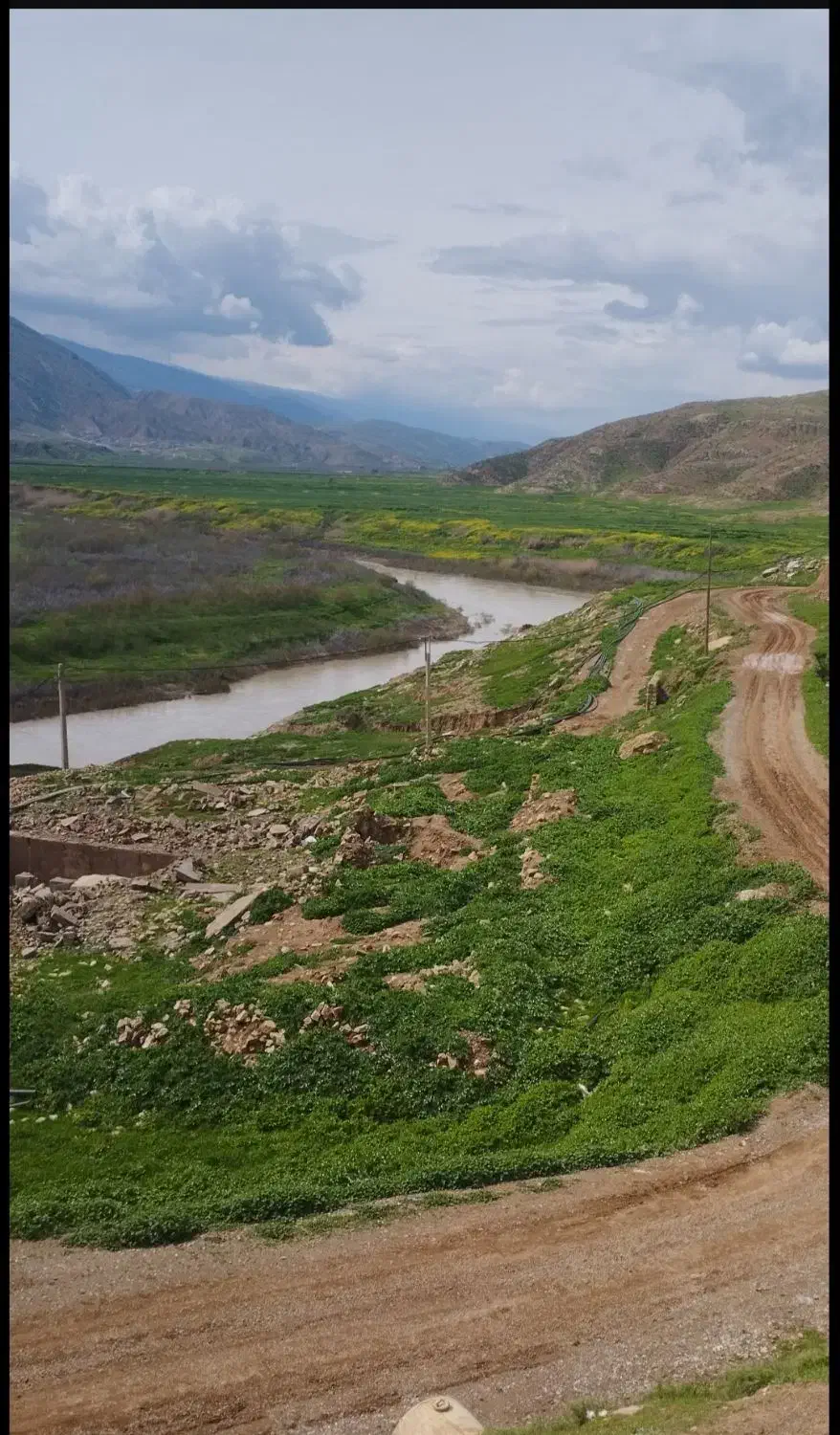 برنج (دوکابین)|خوردنی و آشامیدنی|سیروان, |دیوار