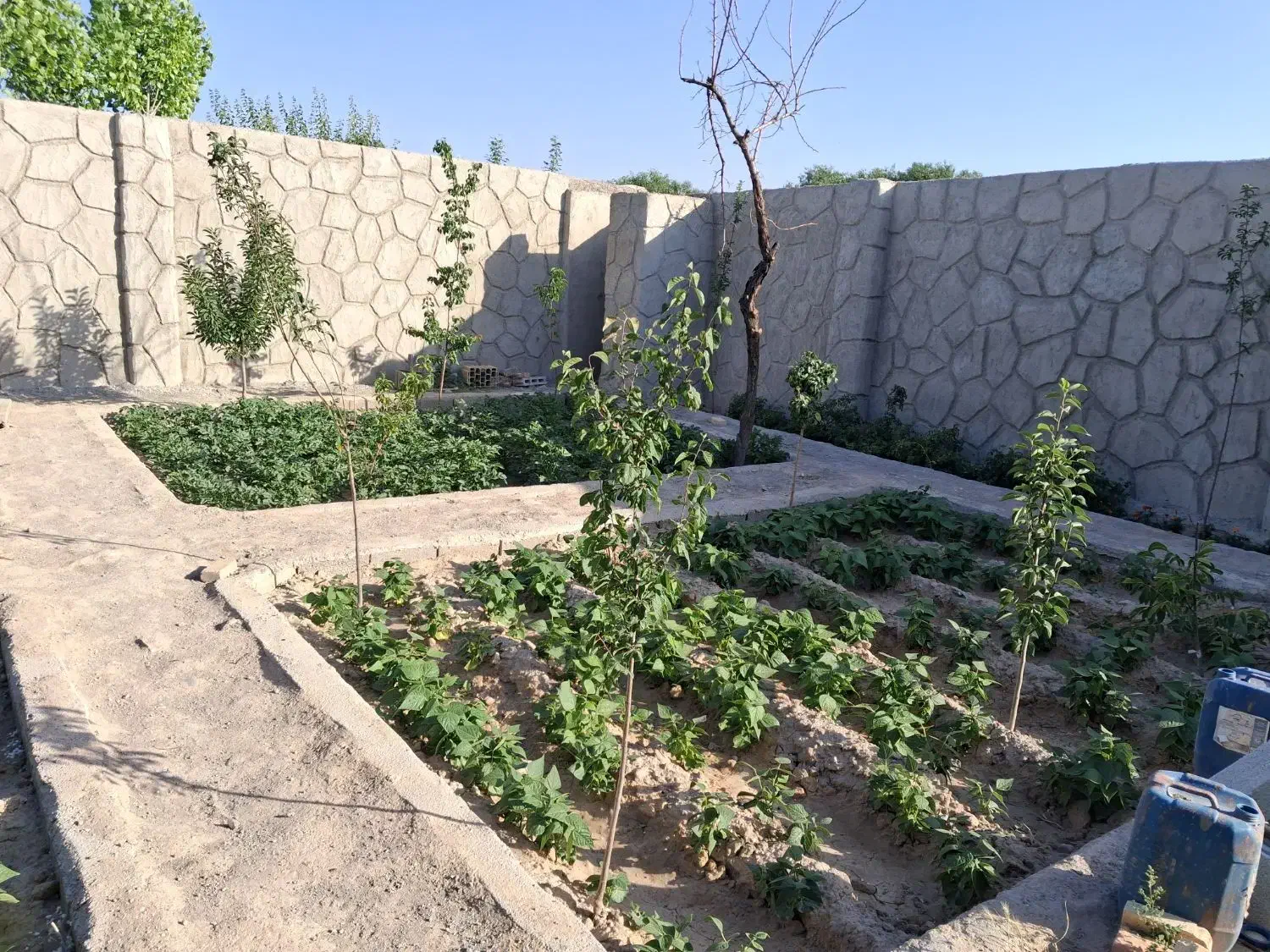 زمین ویلایی باسمنج|فروش خانه و ویلا|باسمنج, |دیوار