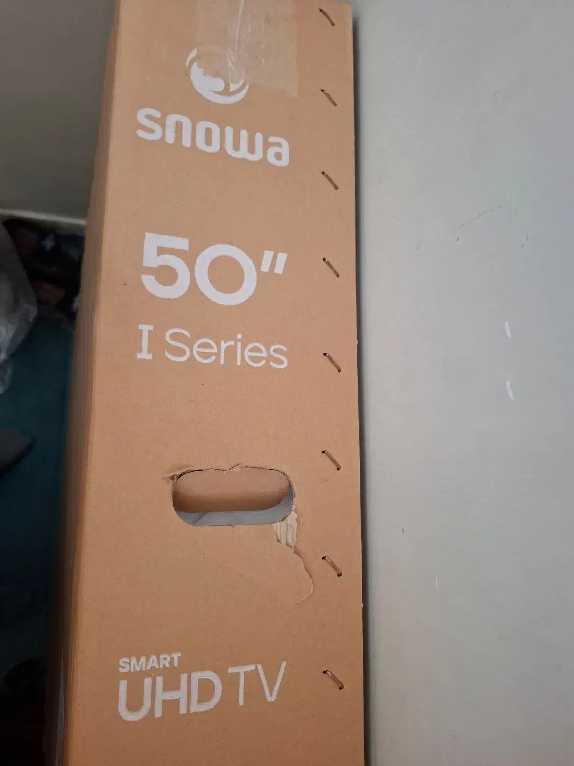 تلوزیون|تلویزیون و پروژکتور|پیر بکران, |دیوار