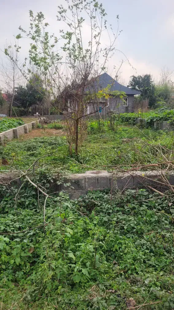 ۲۵۰ متر زمین مسکونی با نامه تاییدیه بنیاد مسکن|فروش زمین و ملک کلنگی|کوچصفهان, |دیوار