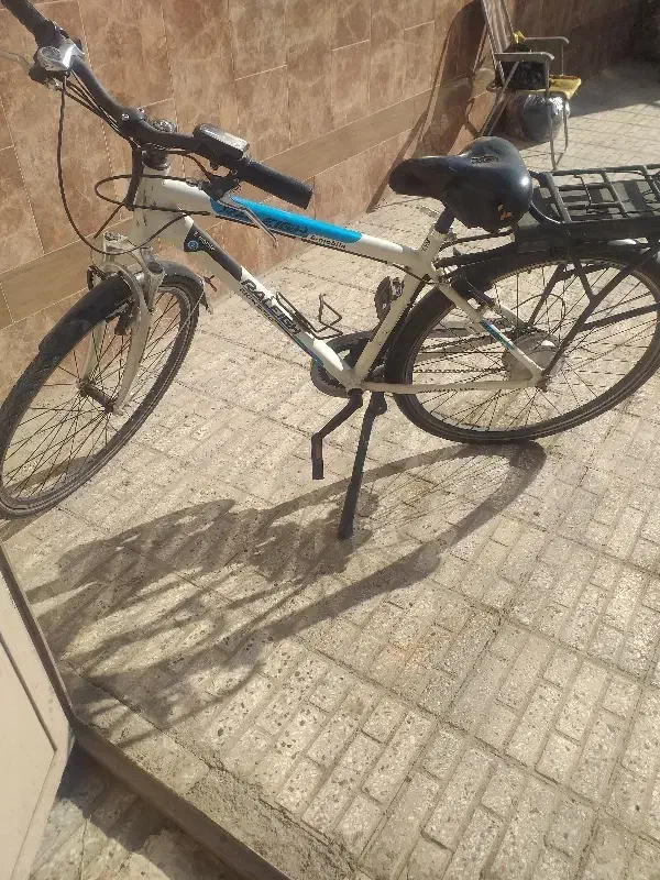 دوچرخه برقی(شارژی)|دوچرخه، اسکیت، اسکوتر|نجف‌آباد, یزدانشهر|دیوار