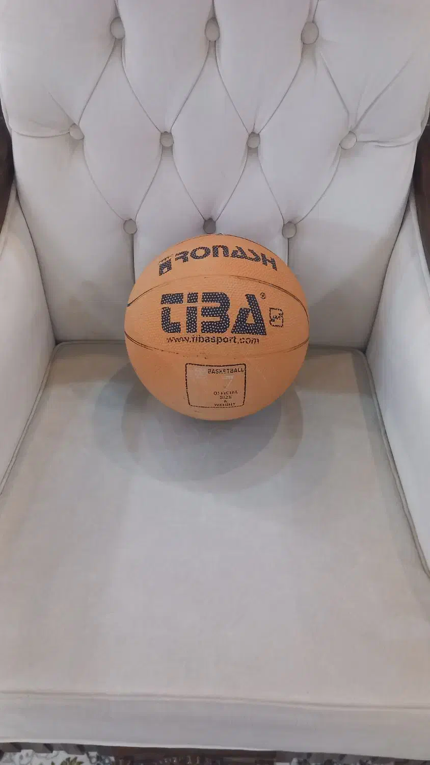 توپ بسکتبال|ورزشهای توپی|پردیس, فاز ۱|دیوار