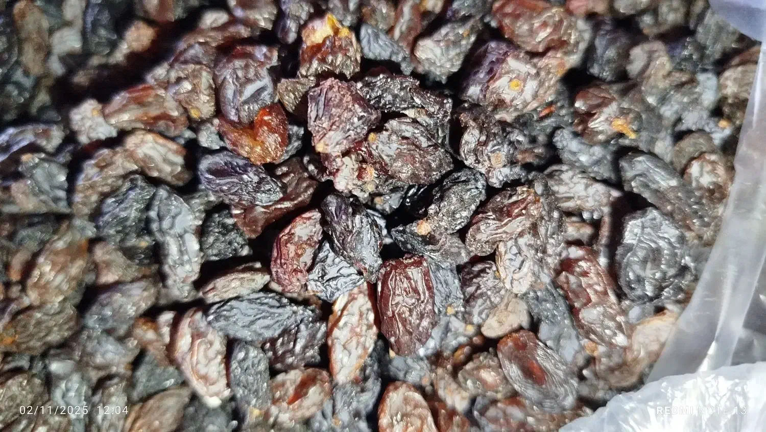 فروش کشمش|خوردنی و آشامیدنی|ایوان, |دیوار