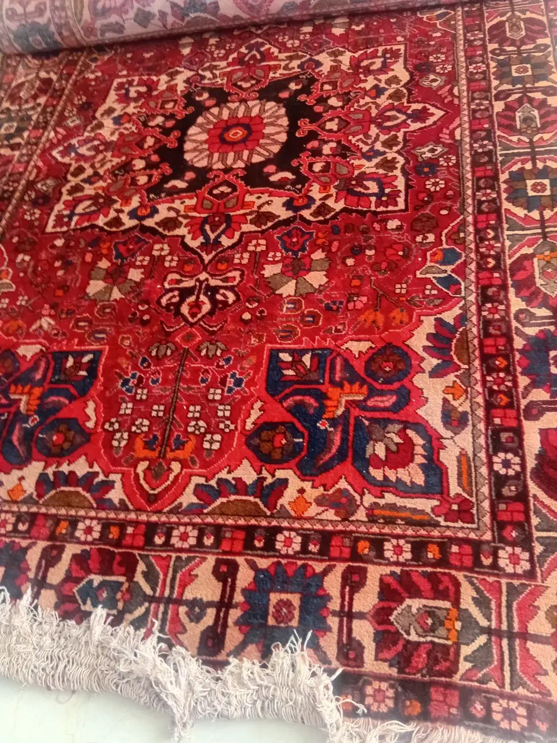 فرش دستباف قدیمی|فرش|شاهینشهر, گزبرخوار|دیوار