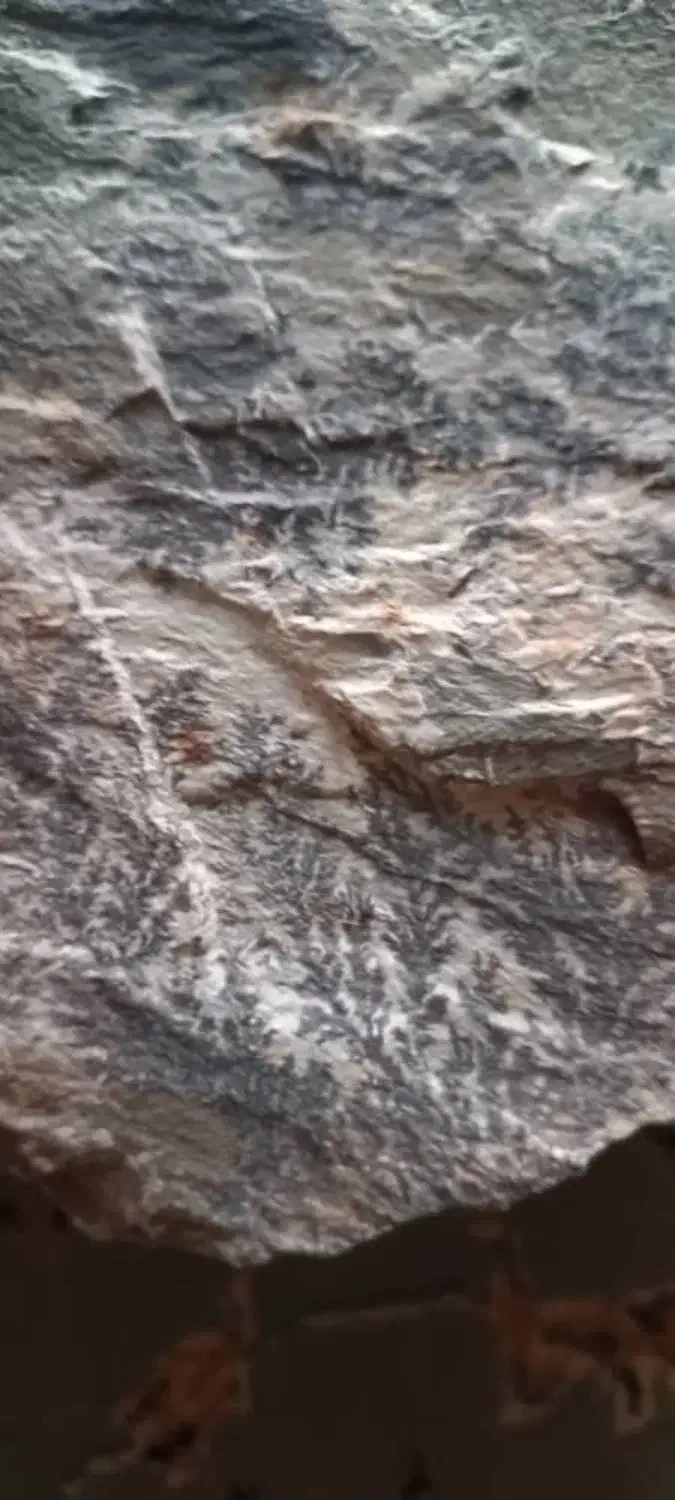 فروش سنگ شجر دریای ۸کیلوی|جواهرات|دهگلان, |دیوار