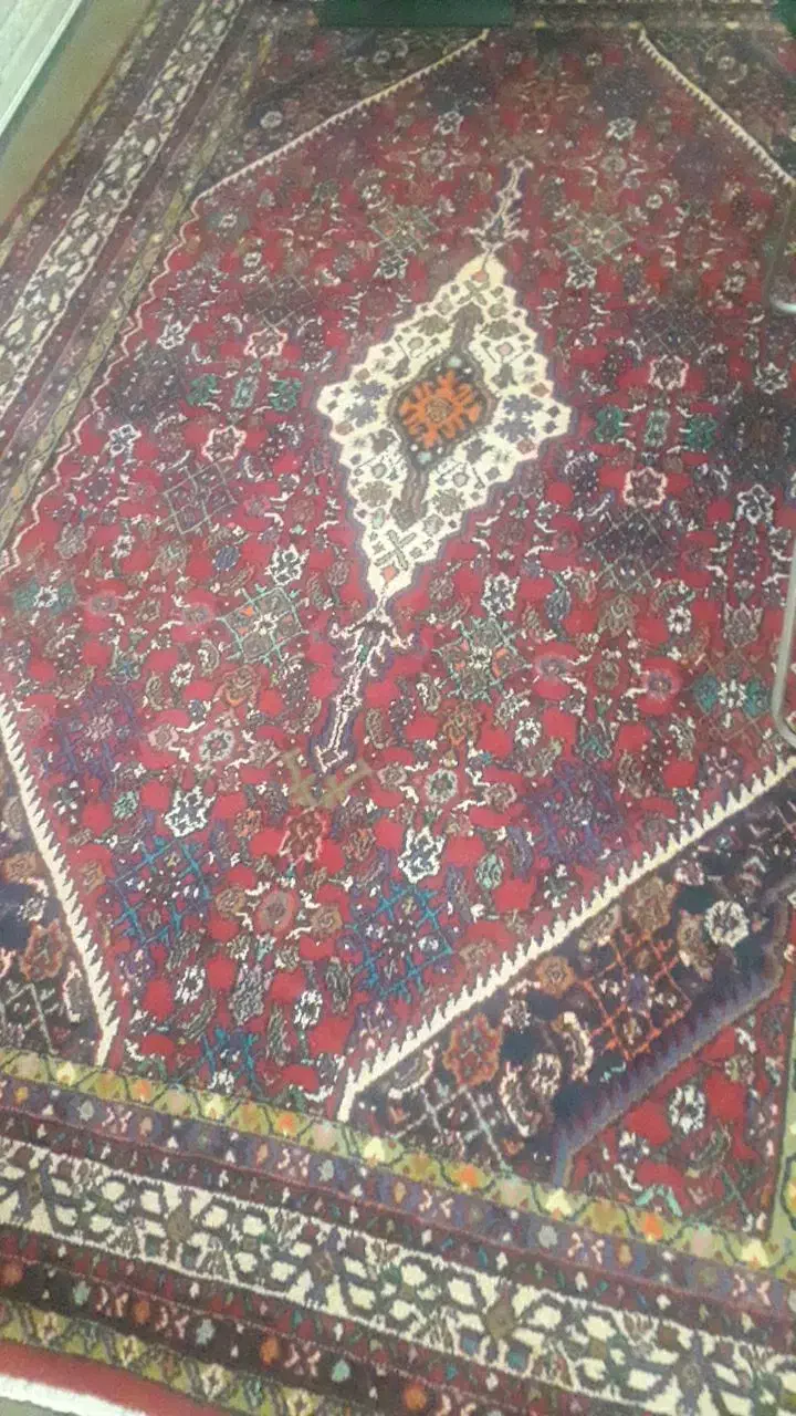 فرش ماشبنی وفرش دستباف|فرش|همدان, |دیوار