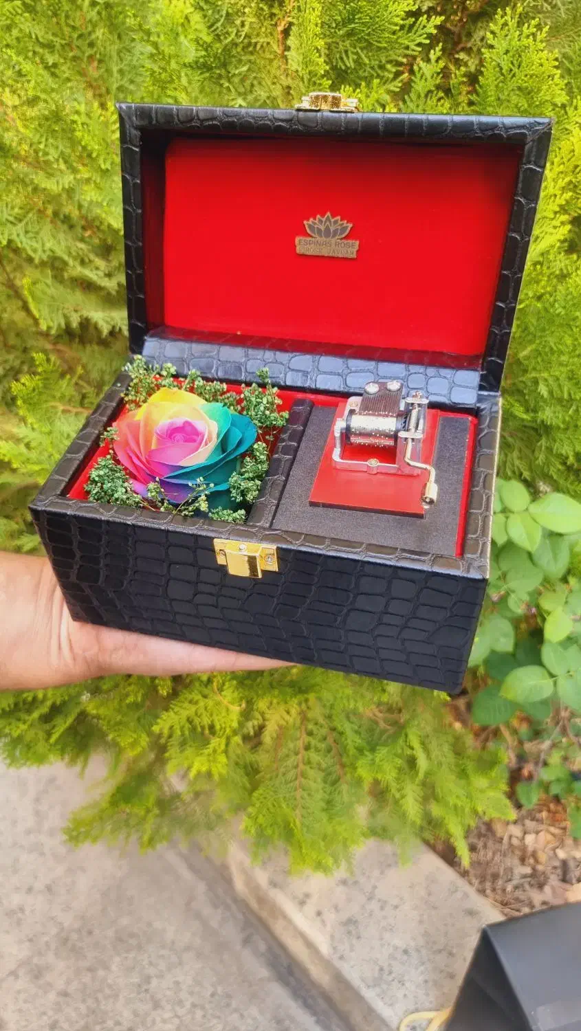 باکس گل جاودان اسپیناس رز کد ۹۴ پلکسی|گل و گیاه طبیعی|تهران, میدان ولیعصر|دیوار