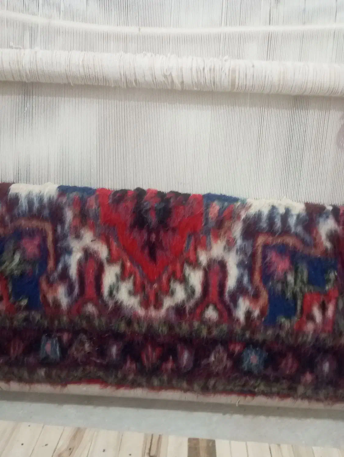 فرش زرنیم هریس|فرش|تبریز, |دیوار