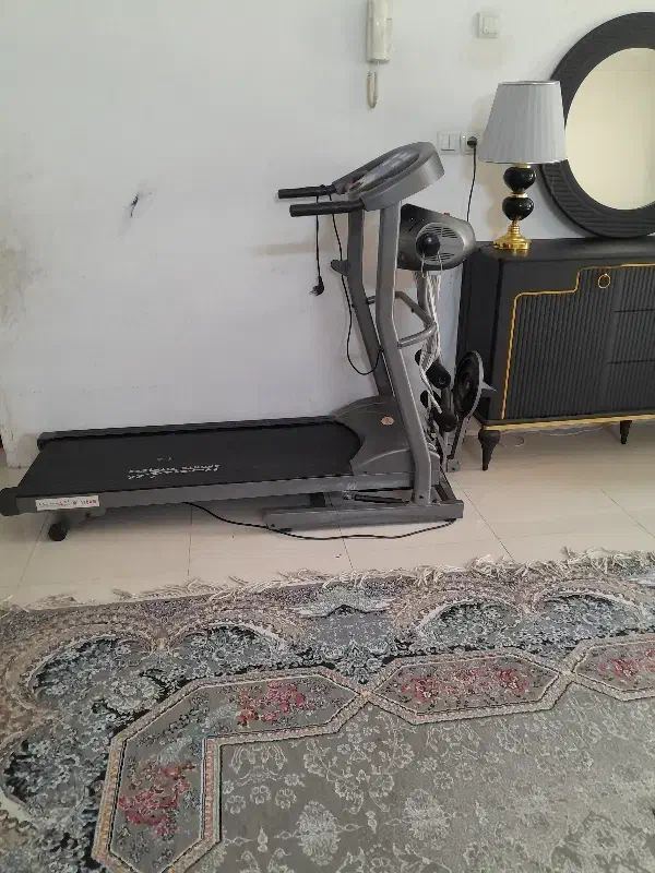 تردمیل خانگی|تجهیزات ورزشی|شیراز, گل سرخ|دیوار