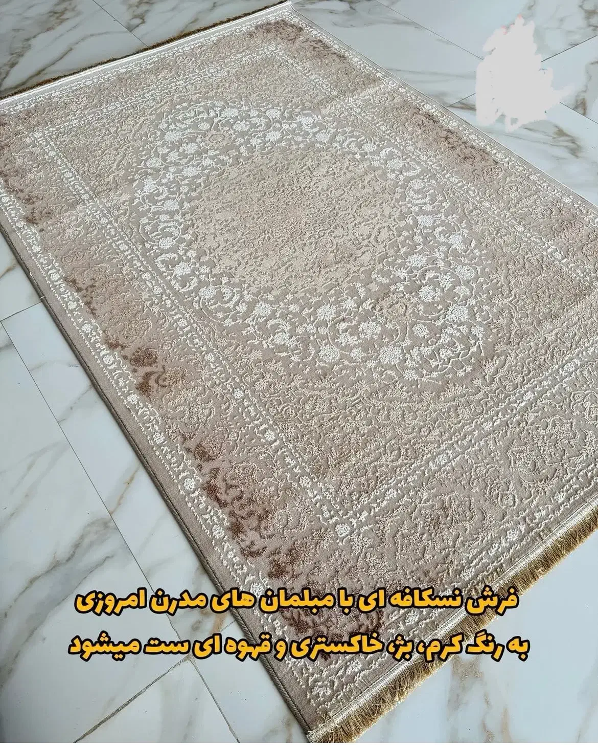 فرش کرم نسکافه ای|فرش|نیشابور, محله میدان باغات|دیوار