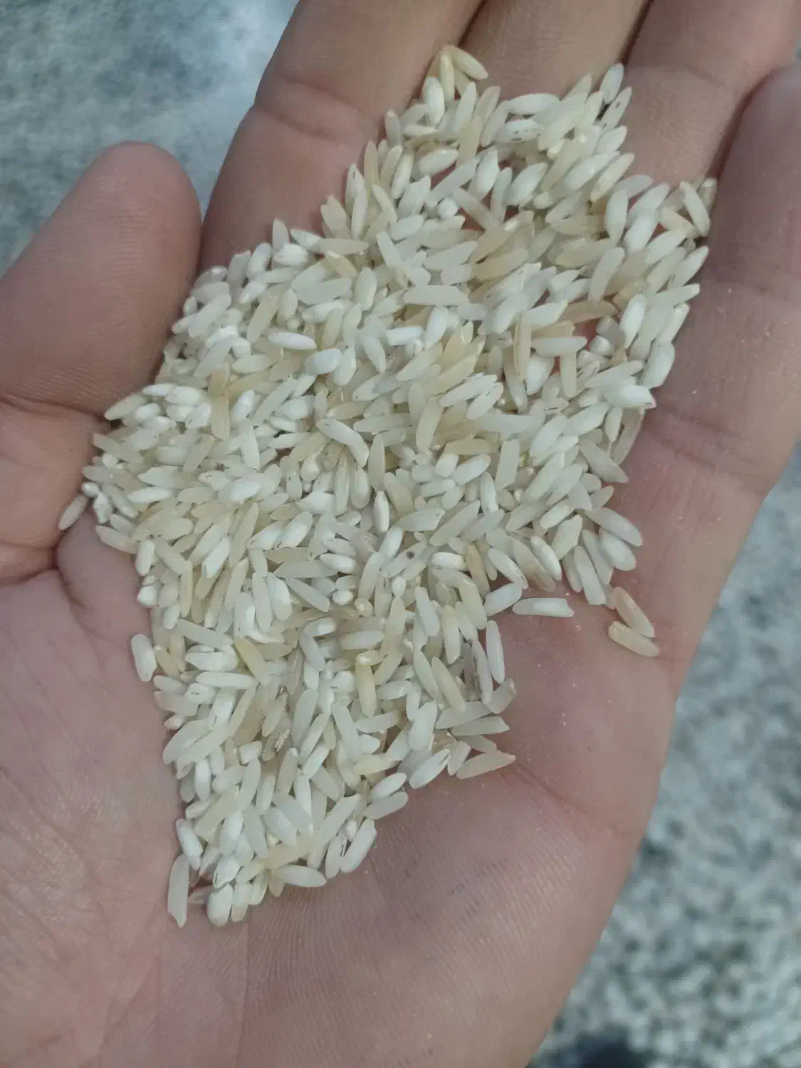 برنج هاشمی اقتصادی|خوردنی و آشامیدنی|جویبار, |دیوار