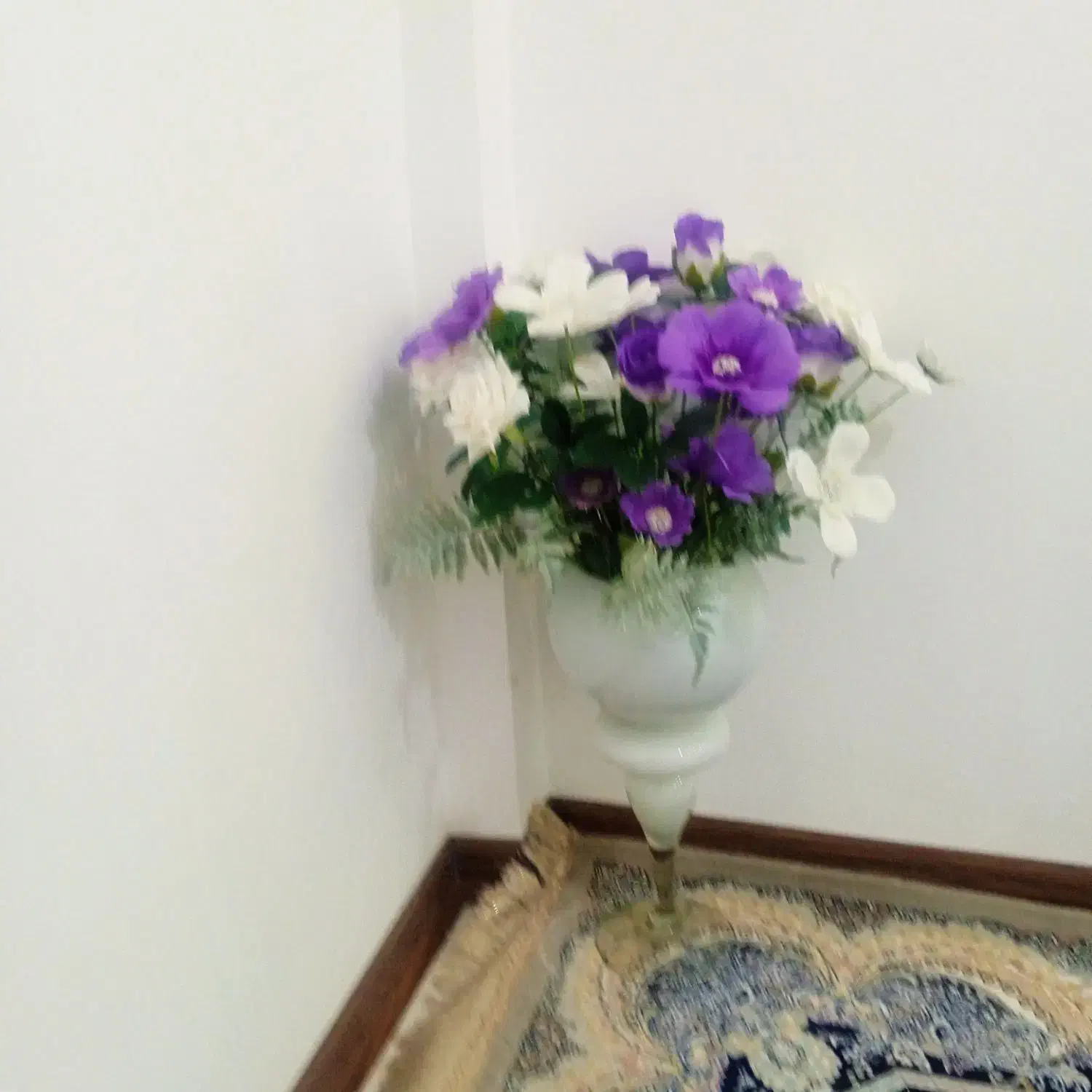 کتونی ویک گل با گلدون|کیف، کفش، کمربند|پاکدشت, پاکدشت (مامازند)|دیوار