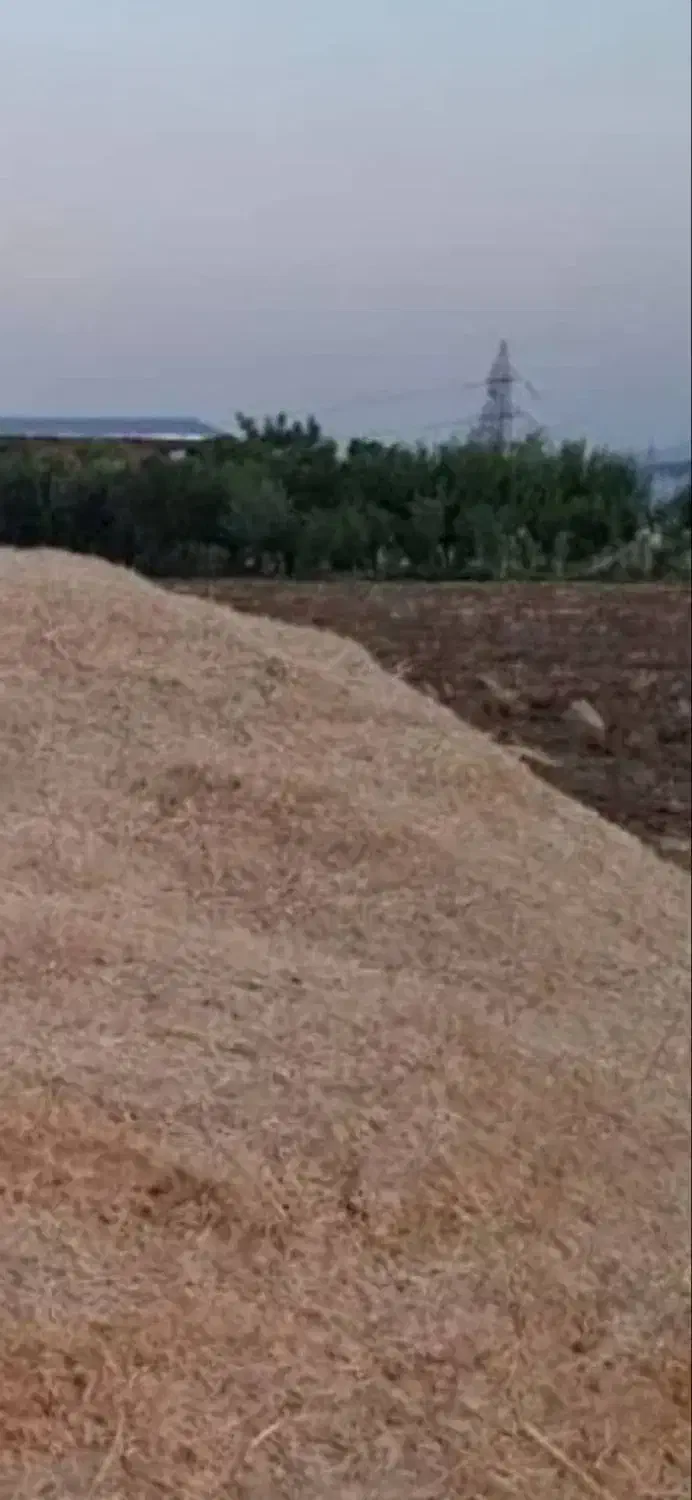 کاه  گندم ۳۰تن    ۱۰ت|لوازم جانبی حیوانات|نوبران, |دیوار