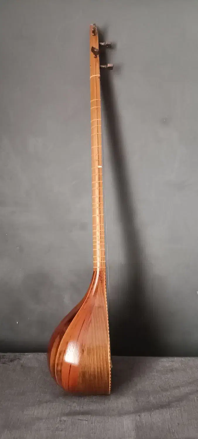 ساز ستار|سازهای سنتی|تهران, شهرک چیتگر|دیوار