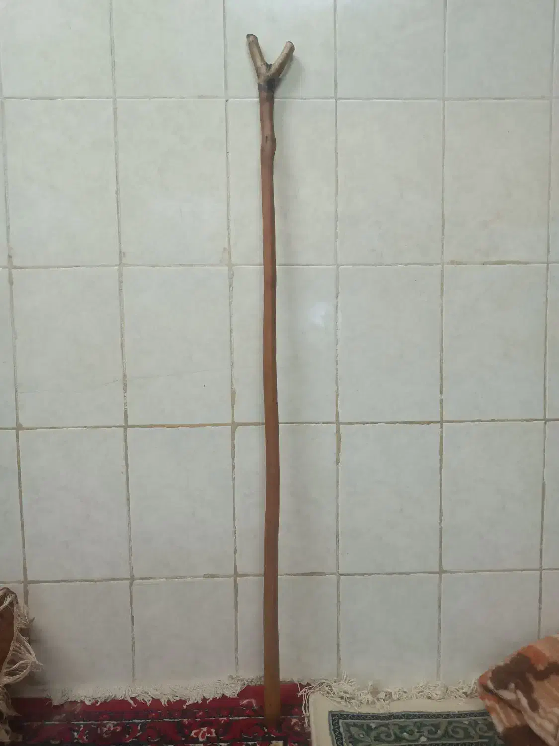 چوب ارزن|کلکسیون و سرگرمی|گتوند, |دیوار