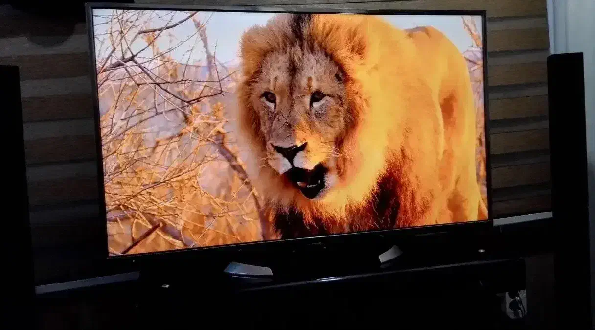 تلویزیون پاناسونیک ۵۵ اینچ|تلویزیون و پروژکتور|شهریار, شهریار|دیوار