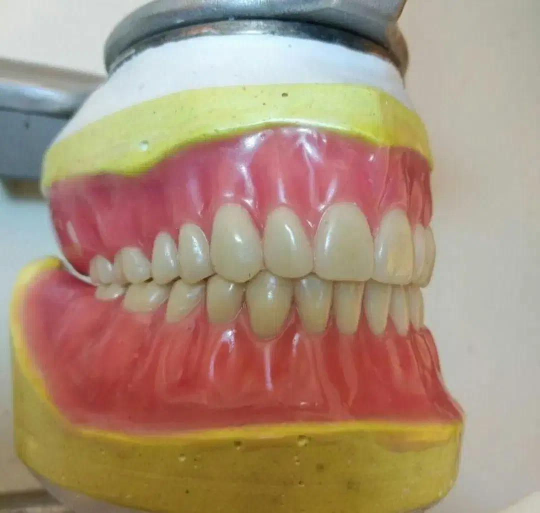 آموزش دندانسازی و کامپوزیت دندان|خدمات آموزشی|کرج, کوی کارمندان شمالی|دیوار