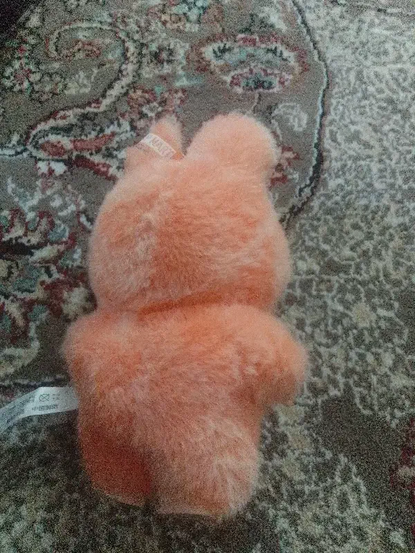 لبو بو|اسباب‌‌بازی|زنجان, |دیوار