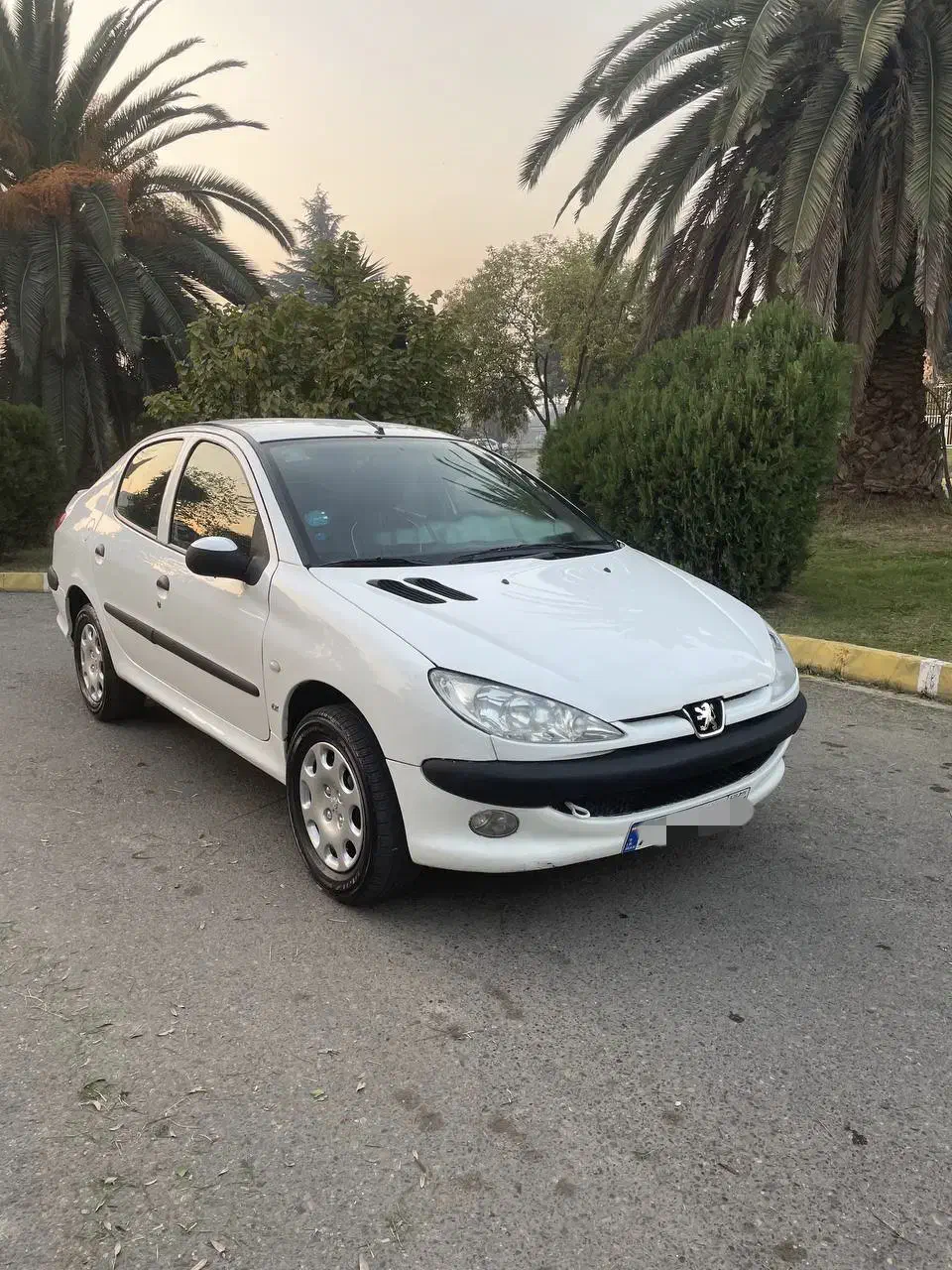 206SD V8 آریان مدل 89|خودرو سواری و وانت|ساری, |دیوار