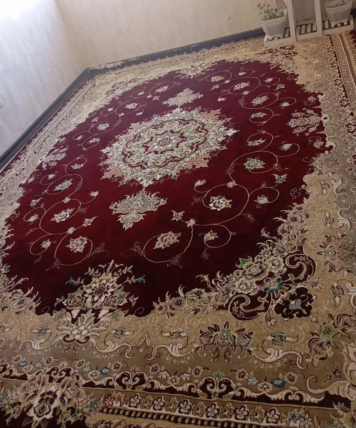 فرش زرشکی|فرش|یاسوج, |دیوار