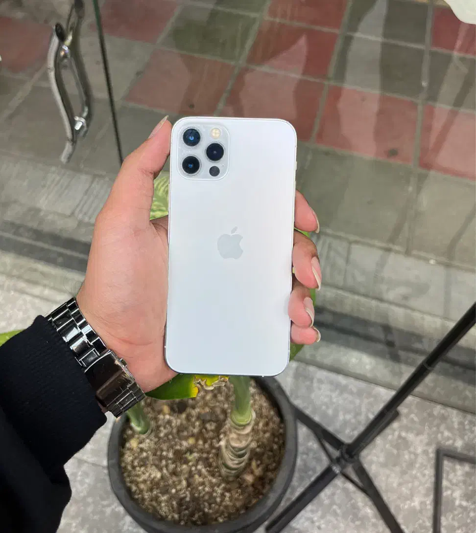 iPhone 12 Pro 256G|موبایل|قم, زنبیل آباد|دیوار