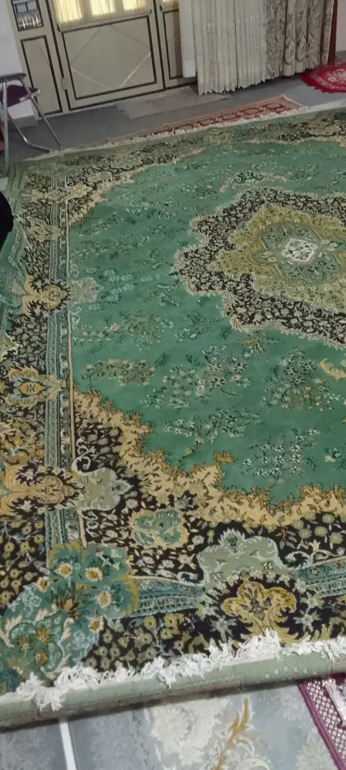دو فرش ۱۲متری زمینه سبز و یک فرش ۶متری کرم|فرش|نشتارود, |دیوار