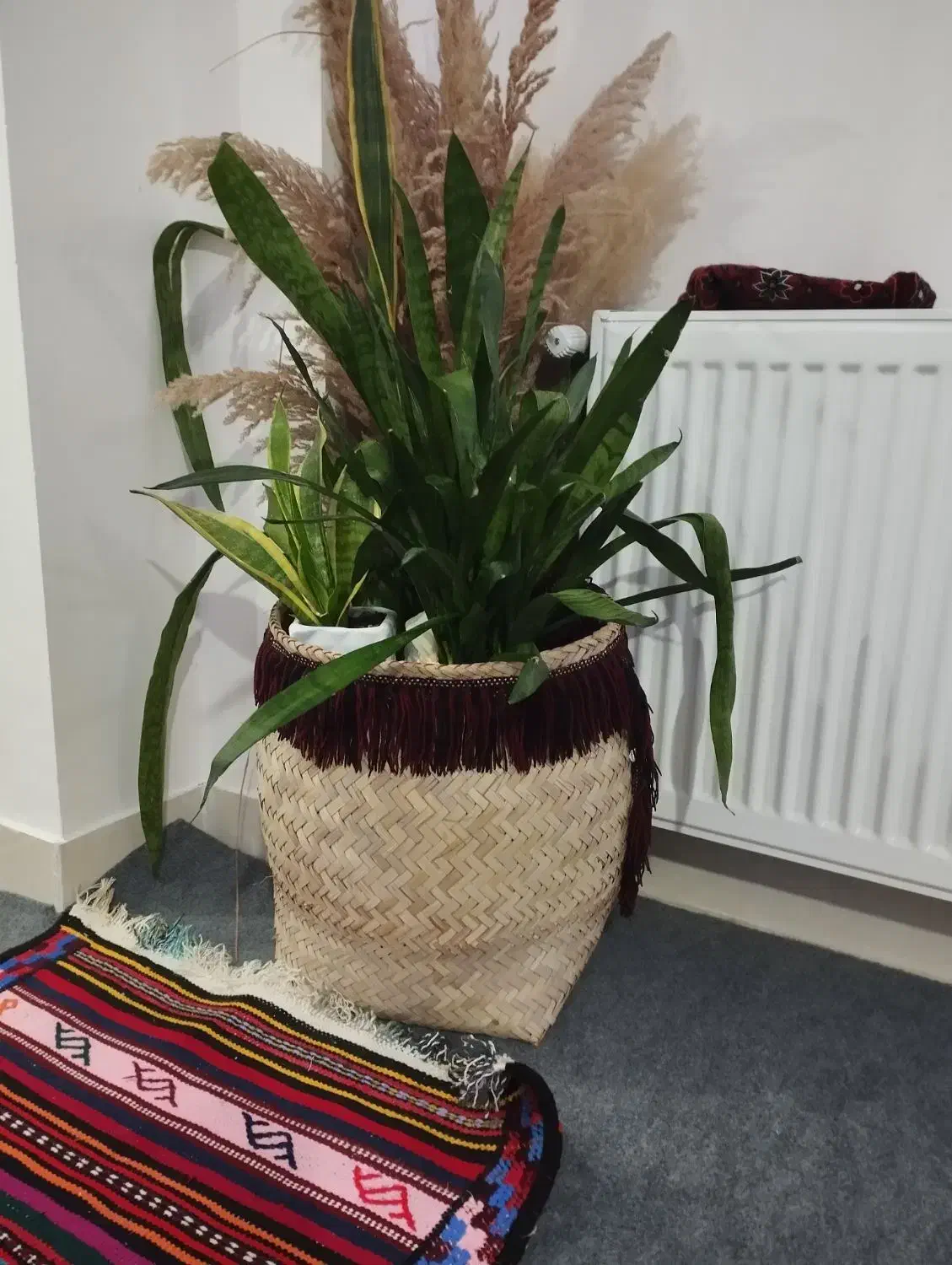 گل با گلدان حصیری|گل و گیاه طبیعی|گرگان, |دیوار