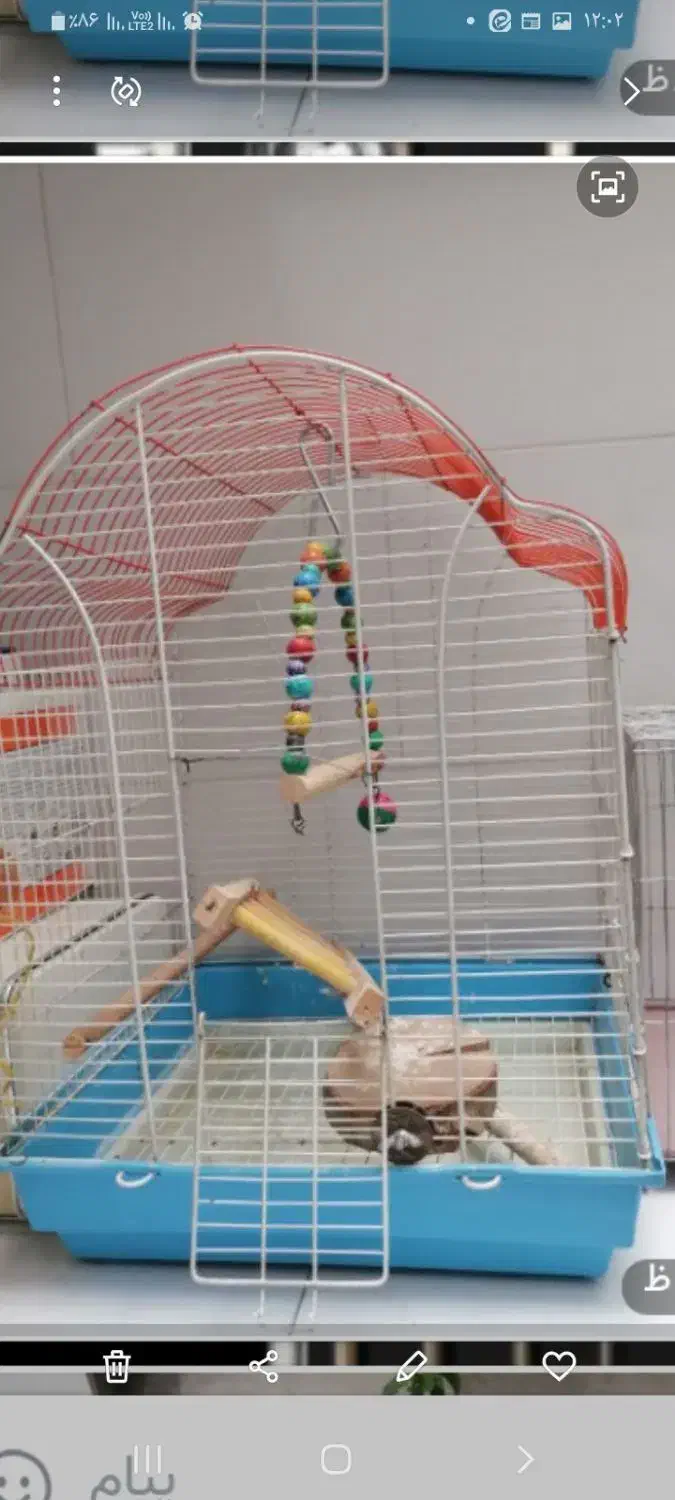 فروش قفس پزنده|پرنده|نجف‌آباد, منتظری شمالی|دیوار