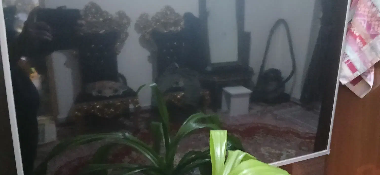 فروش تلویزیون الجی 43|تلویزیون و پروژکتور|نرماشیر, |دیوار