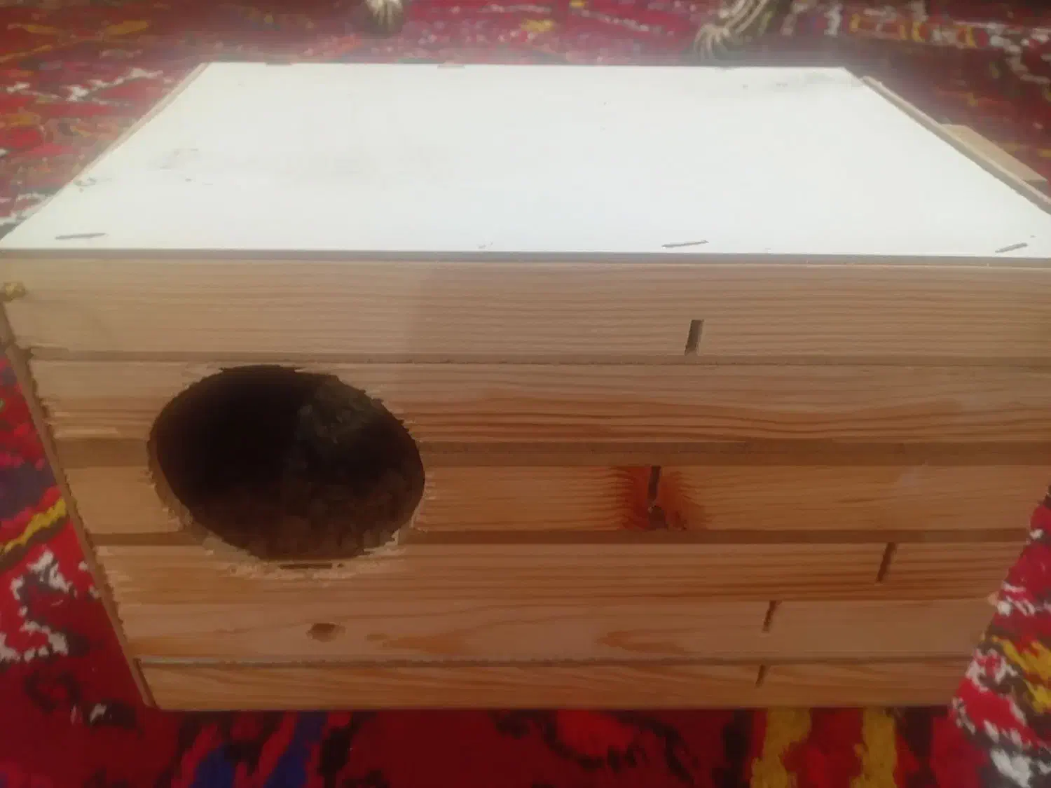 لانه پرنده|لوازم جانبی حیوانات|تبریز, |دیوار